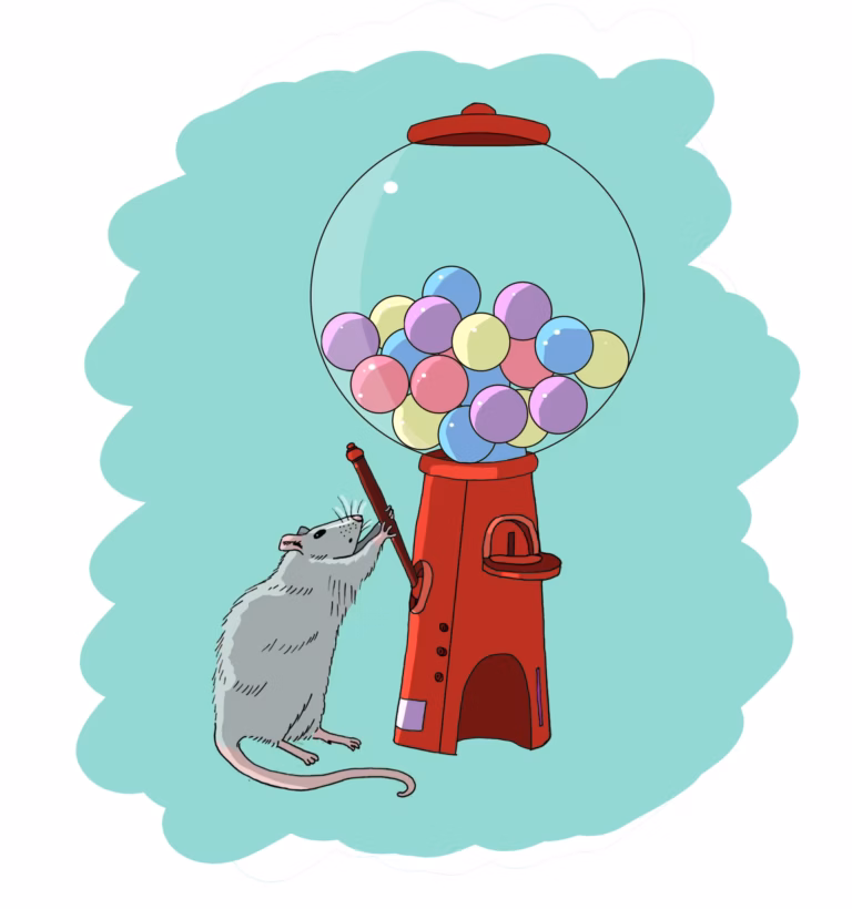 Rat trying to get ball